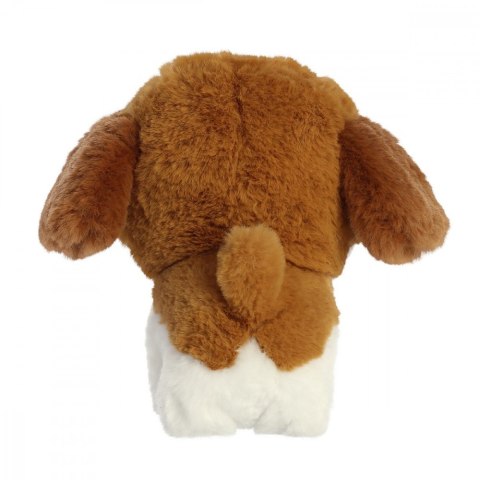 Maskotka teddy pets shih tzu