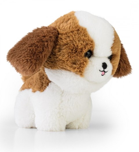 Maskotka teddy pets shih tzu