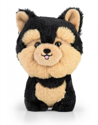 Maskotka teddy pets yorkie