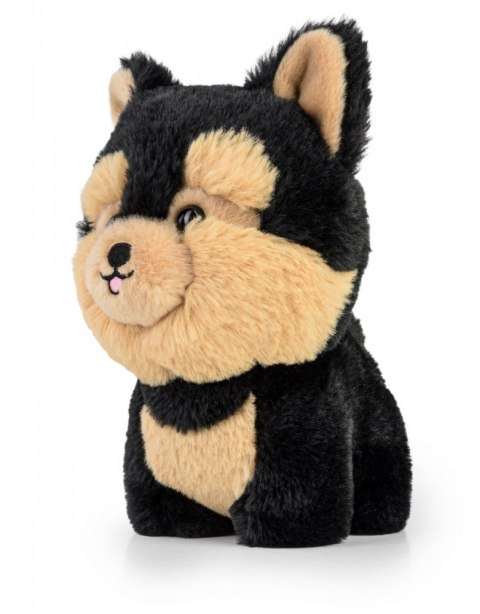 Maskotka teddy pets yorkie