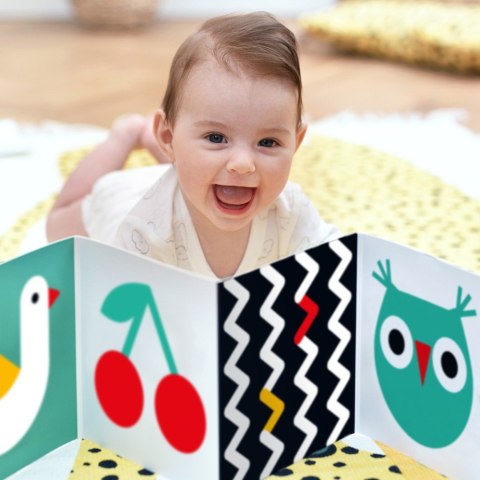 Starter malucha - co widzę