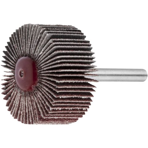 ŚCIERNICA TRZPIENIOWA LISTKOWA SFL 05010.06 NK 60